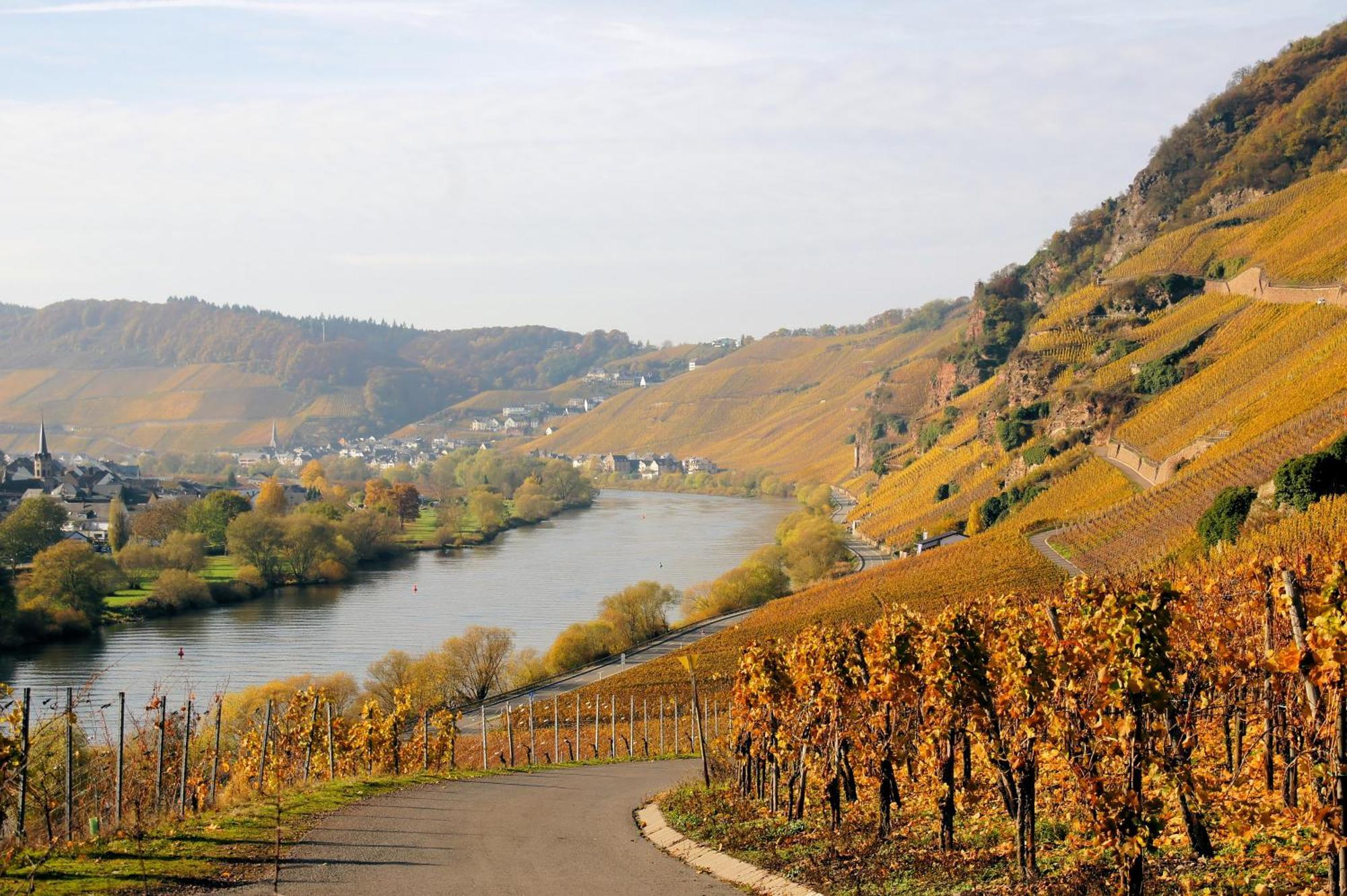 Weingut / Gaestehaus Gerlach Uerzig Exterior photo